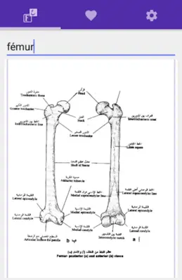 قاموس طبي فرنسي عربي مصور android App screenshot 2