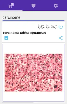 قاموس طبي فرنسي عربي مصور android App screenshot 5